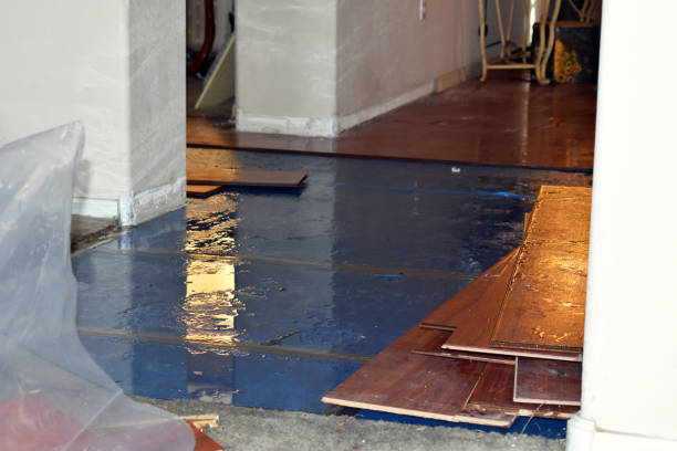Professional Basement Water Removal technician working in Attleboro, MA