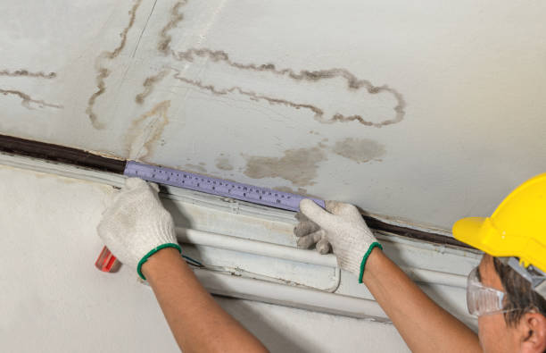 Reliable Basement Water Removal contractor in Attleboro, MA by Water Damage Irwin